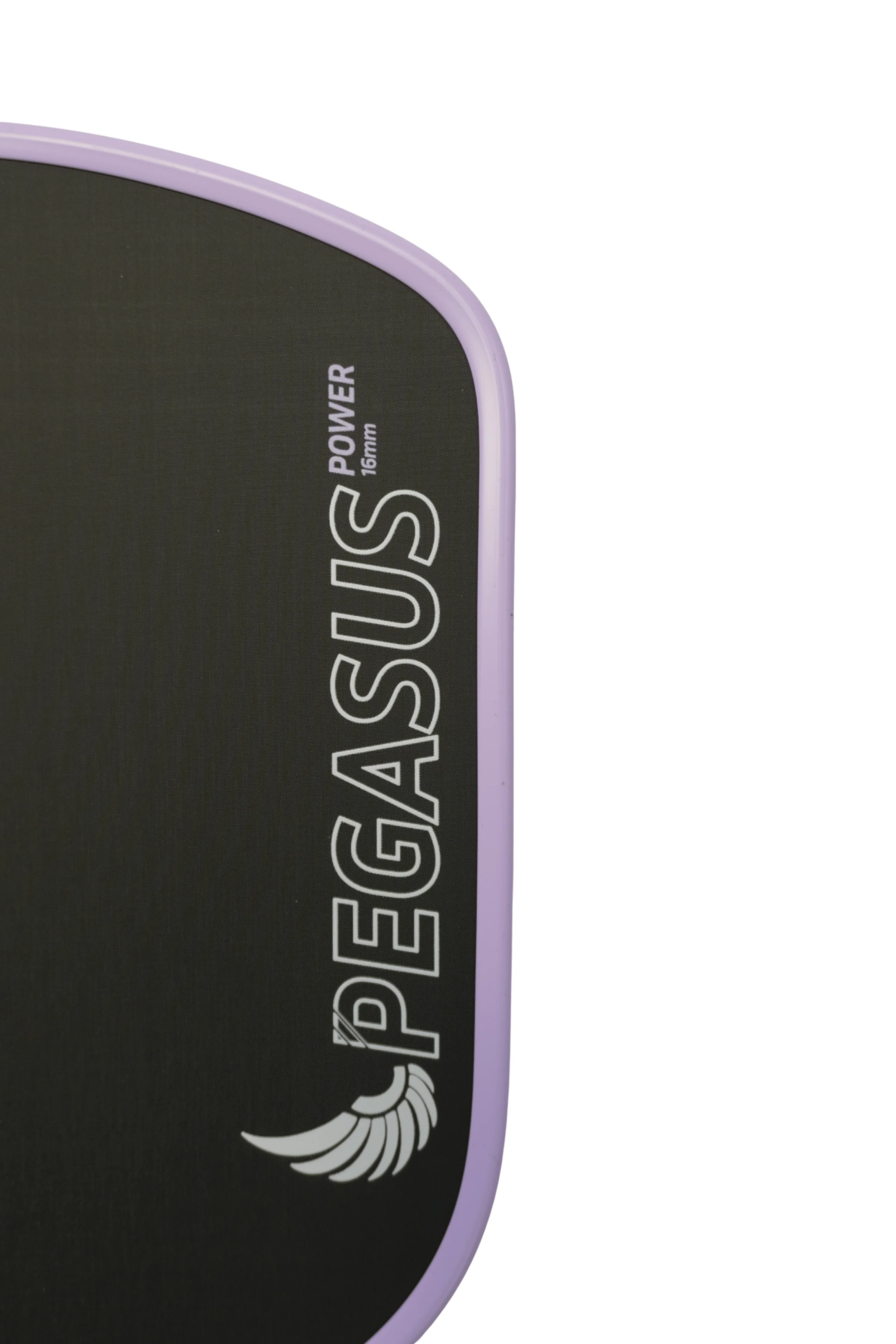 Pegasus Power - Image 10