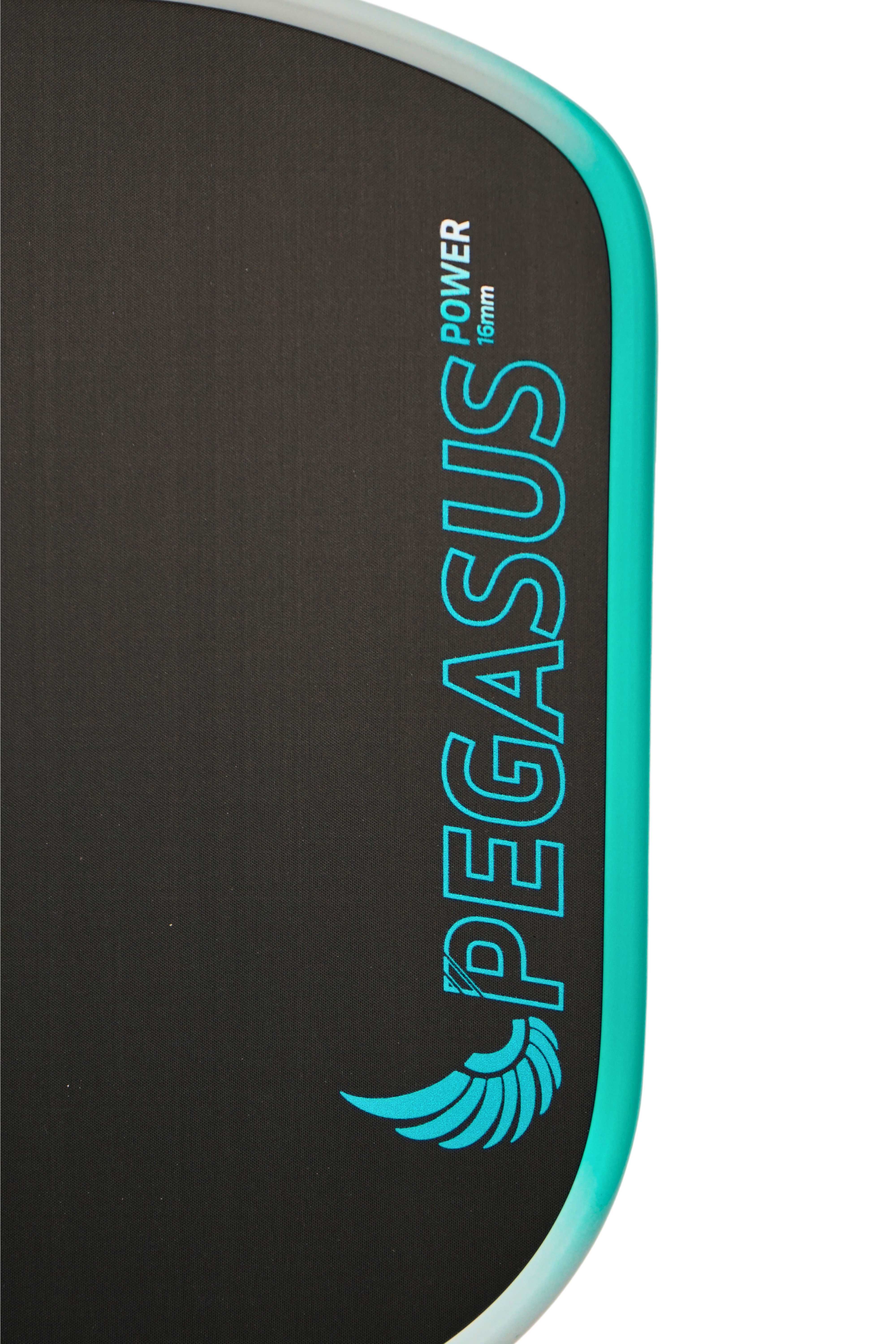 Pegasus Power - Image 3
